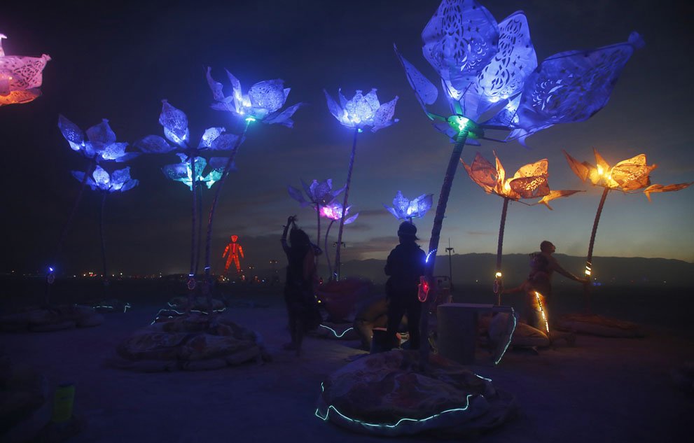 burning man pulse and bloom