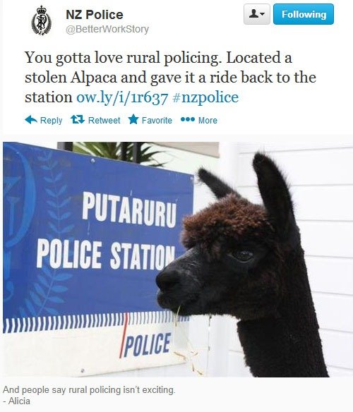 rfatos bizarros da Nova Zelândia rural police