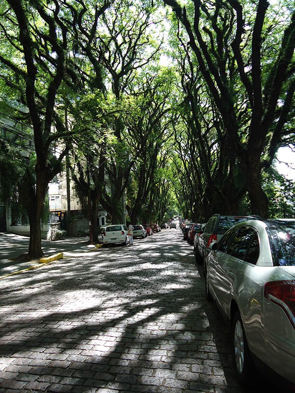 A rua mais bonita do mundo fica em Porto Alegre (1)