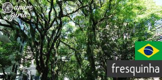 A rua mais bonita do mundo fica em Porto Alegre