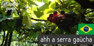 Rota Caminhos de Pedra em Bento Gonçalves