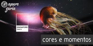 As cores de uma viagem