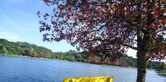 São Francisco de Paula: atrações e muita natureza! banco amarelo na frente do lago em são francisco de paula