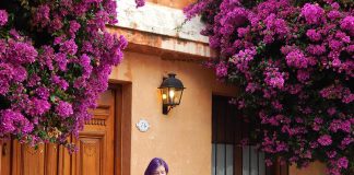 Colonia del Sacramento: o que fazer roteiro em colonia del sacramento uruguai flores