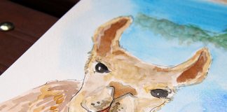 Mochilão Peru Roteiro e cartão postal!