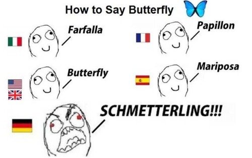 dicas para aprender alemao borboleta