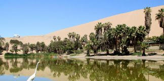 Huacachina: oásis no Peru e Sandboard! oasis de huacachina no peru como chegar