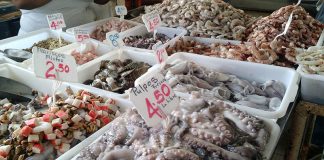 Mercado del Marisco e rato no ceviche!