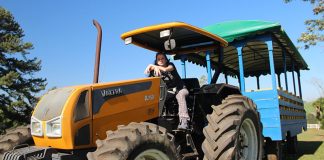 O que fazer em Witmarsum em um fim de semana ponyland witmarsum trator