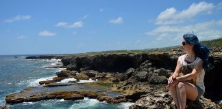 Dicas de Barbados: regiões, transporte e passeios dicas de barbados flower animal cave