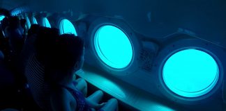 4 coisas super legais em Barbados