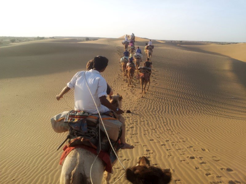 camelo-dromedrario-jaisalmer-deserto