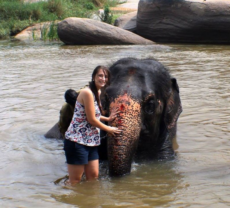 dicas de viagem na Índia elefante-hampi-sagrado-banho