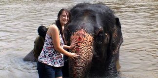 Intercâmbio na Índia pela AIESEC Talentos Globais