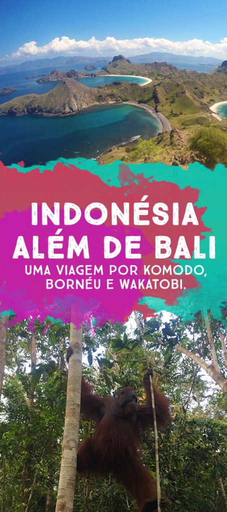 indonesia-alem-de-bali-dicas-de-viagem-borneu-komodo