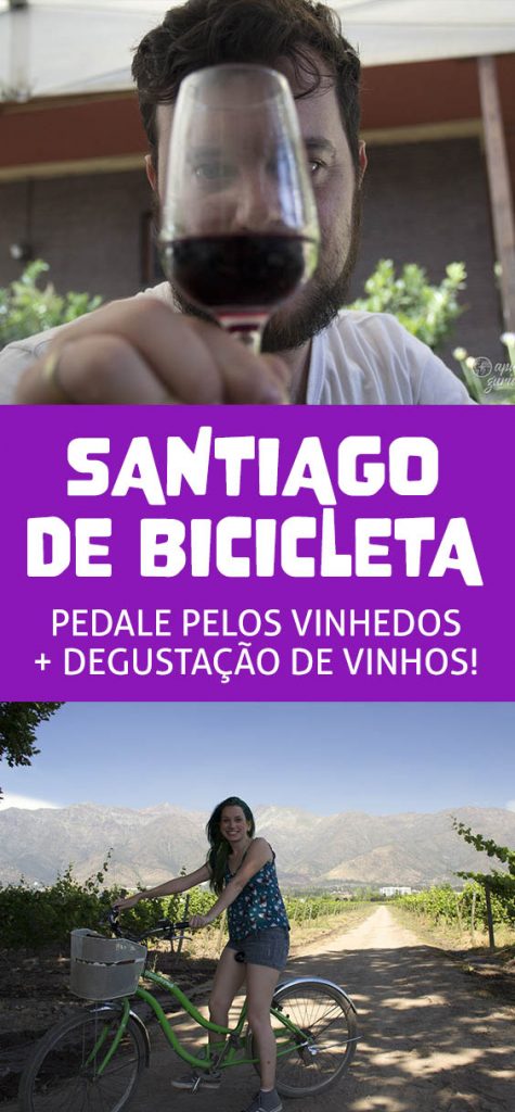Tour Bicicleta e Vinho em Santiago, degustação na vínicola mais perto na capital Chilena