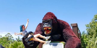 Dicas do Beto Carrero World: onde fica e melhores atrações gorila gigante segurando mulher monga beto carrero