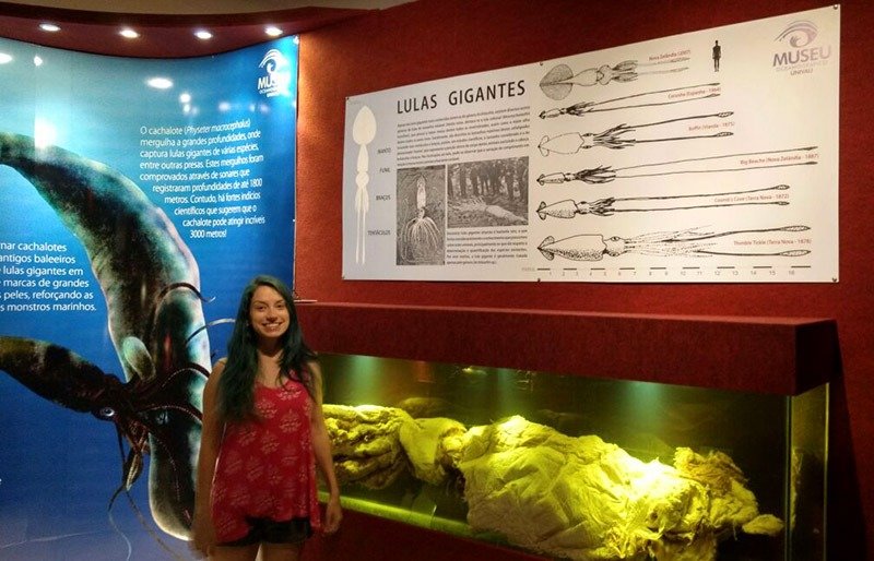 museu oceanografico univali piçarras