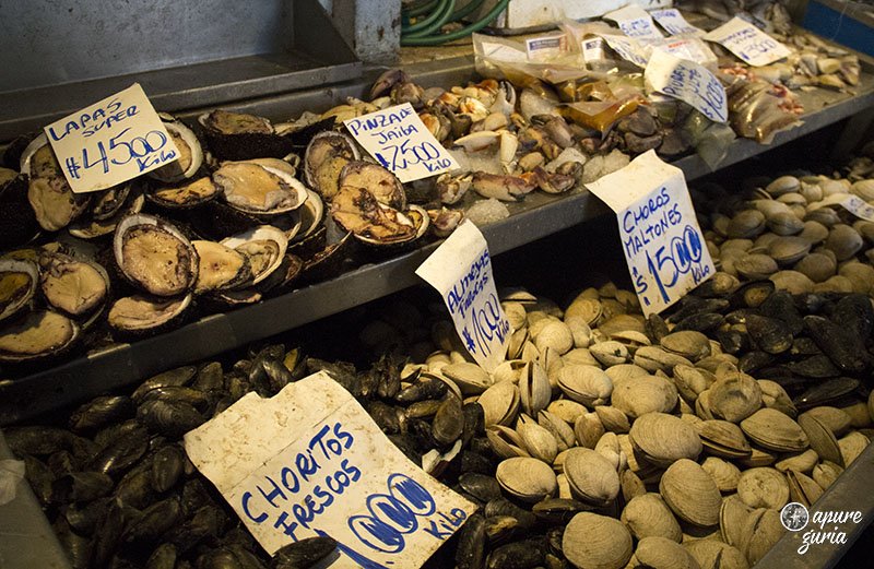 mercado central peixes santiago