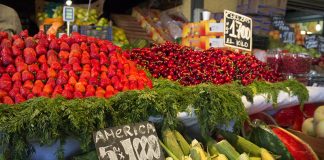 Um passeio delicinha em Santiago de Bicicleta mercado municipal central em santiago de chile