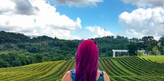 Roteiro na Serra Gaúcha além de Gramado e Canela o que fazer na serra gaucha vinicola chandon