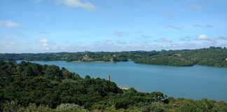 Parque Passaúna: meu parque favorito de Curitiba! parque passauna em curitiba como chegar