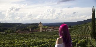 Vale dos Vinhedos em Bento Gonçalves: fantástico! o que fazer no vale dos vinhedos em bento goncalves