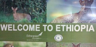 Como é voar Ethiopian Airlines: Guarulhos, Etiópia e Itália ethiopian airlines review problemas