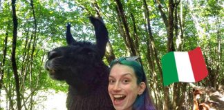 Aventuras na fazenda: como aprender italiano sozinha aventuras na fazenda da italia aprender italiano sozinha vocabulario