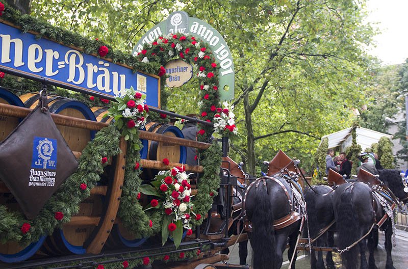 desfile cavalos oktoberfest na alemanha