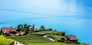10 dicas para visitar Montreux Riviera: o melhor da Suíça Francesa vinhedos em montreux riviera dicas