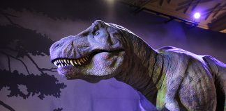 Os dinos do Museu de História Natural em Londres! simulacao tiranossauro rex museu em londres viajar com crianca em londres