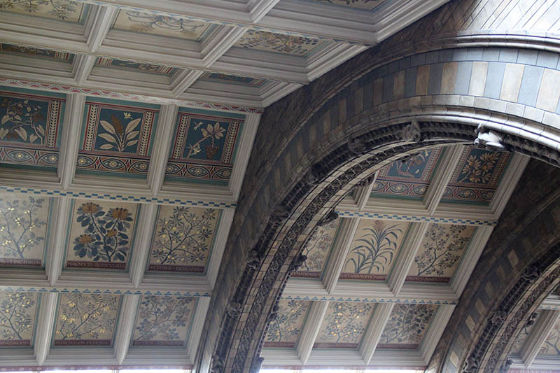 teto decorado com plantas museu de historia natural londres