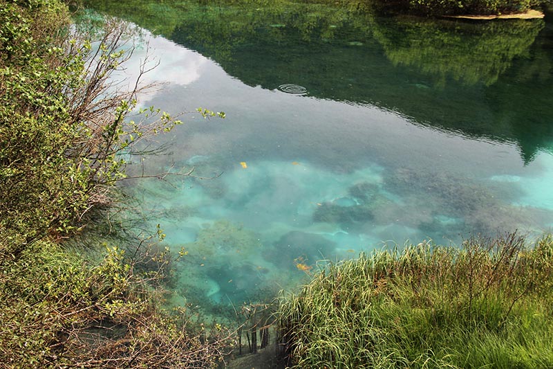 lagos para conhecer na europa zelenci eslovenia
