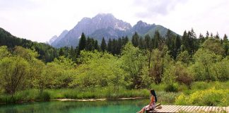 Zelenci: o lago esmeralda escondido da Eslovênia! o que ver na eslovenia lago zelenci esmeralda