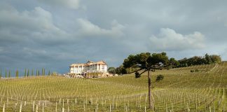 Bento Gonçalves: guia completo para a sua viagem a Serra Gaúcha! bento gonçalves no inverno vale dos vinhedos