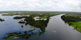 10 coisas que não te contam sobre a Amazônia Lago Juma