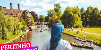 15 coisas para fazer em Cambridge: dicas e roteiro