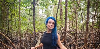 O que fazer na Ilha de Marajó: as melhores atrações roteiro ilha de marajo dicas