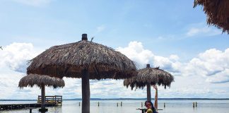 O que fazer em Palmas Tocantins: pontos turísticos e roteiro de 3 dias o que fazer em palmas ilha do canela