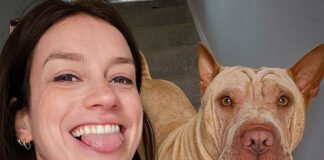 Coisas que eu NÃO esperava sobre viver na Inglaterra Coisas que eu NaO esperava sobre viver na Inglaterra pepe