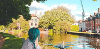 Como é morar no interior da Inglaterra: vantagens e dicas Como e morar no interior da Inglaterra vantagens dicas ganso