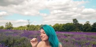 Campos de Lavanda na Inglaterra pertinho de Londres! quando visitar campos de lavanda