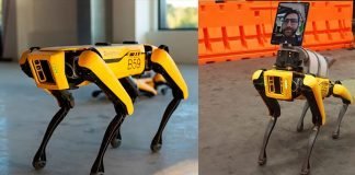 9 Invenções criativas na pandemia para combater o coronavírus cachorro robo pandemia coronavirus