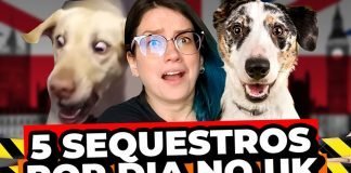 Roubo de cachorro na Inglaterra: como evitar ROUBO DE CACHORRO NA INGLATERRA