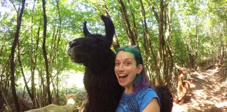 Worldpackers: É confiável? Como funciona? Vale a pena? worldpackers e seguro confiavel