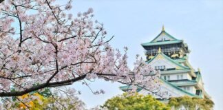 Melhor época para visitar o Japão: eventos mês a mês melhor epoca para visitar o japao
